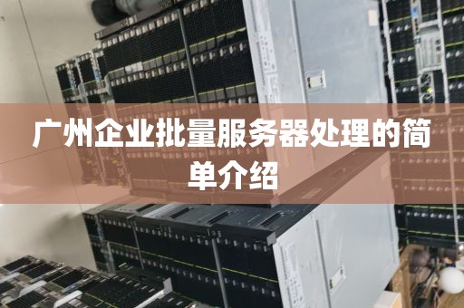 广州企业批量服务器处理的简单介绍